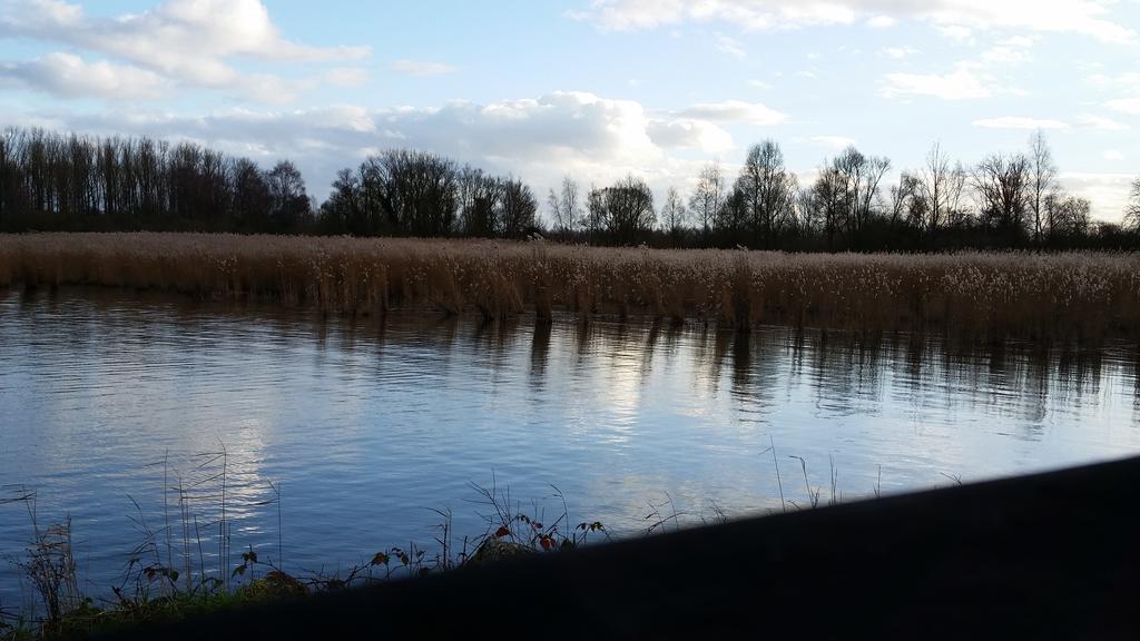 Aux Charmes De La Campagne Villa Hautrage Exteriör bild